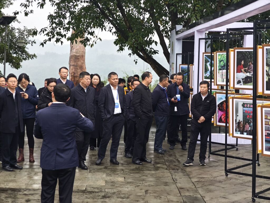 与会嘉宾在长寿区走访调研。第1眼TV-华龙网 汤莉 摄